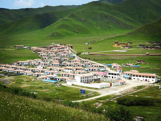 你好，我在皖事通交城乡居民养老保险，身份证信息都输入正确，却显示非本村人员请在所在村居缴费？